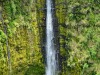 Akaka-Falls-Low-Res