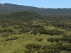 Kohala-Coast-Flying-over-a-Pasture