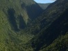 Kohala-Coast-Forested-Valley