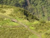 Kohala-Coast-Hikers