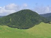 Kohala-Coast-Hill-with-Trees