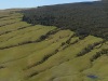 Kohala-Coast-Plains-into-Trees