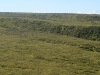 Kohala-Coast-Top-of-the-Mountain