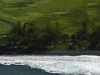 Kohala-Coast-Trees-Grow-at-the-Oceans-Edge