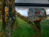 Moss-Covered-Mailbox-edit