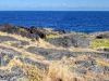 Volcanos-National-Park-Grass-Grows-Over-Lava-Flow-in-front-of-Ocean