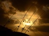 Fishing-Poles-Against-the-Morning-Sun